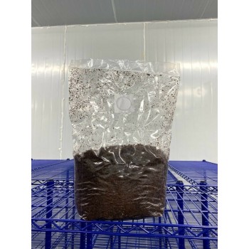 2kg uninoculated Mushroom Substrate SHIITAKE Mix Bag sterilized and ready to be inoculated